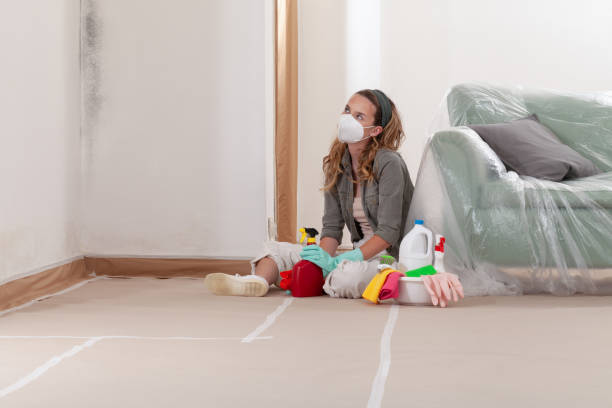Reliable Mold Cleanup contractor in Interlochen, MI by Cheap Mold Removal